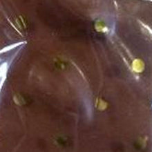 Load image into Gallery viewer, Barks