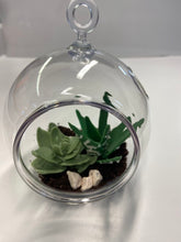 Load image into Gallery viewer, Succulent Terrarium
