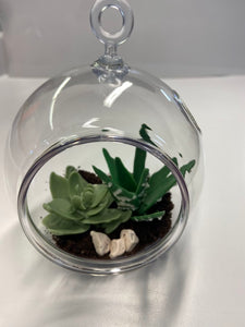 Succulent Terrarium
