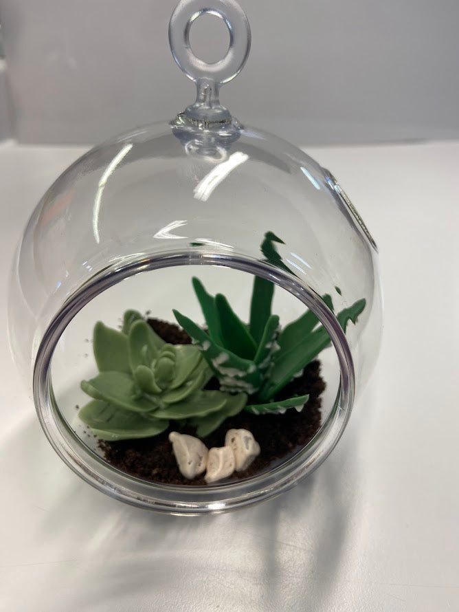 Succulent Terrarium