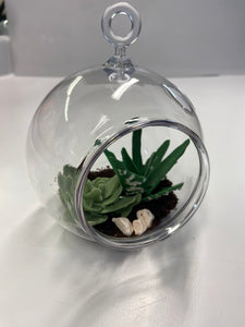 Succulent Terrarium