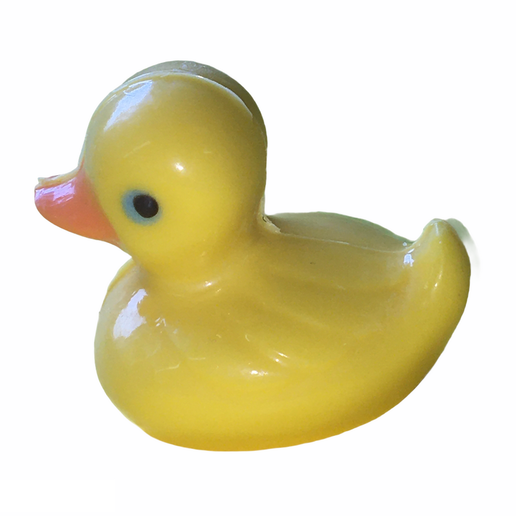 Solid Duck