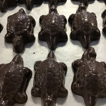 Load image into Gallery viewer, Turtles
