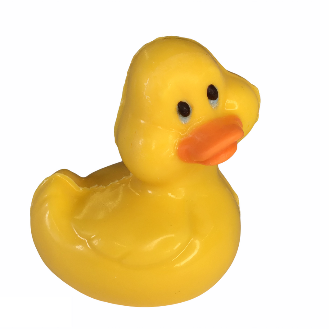 Large Hollow Duckie