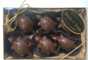 Turtles 6 Pack